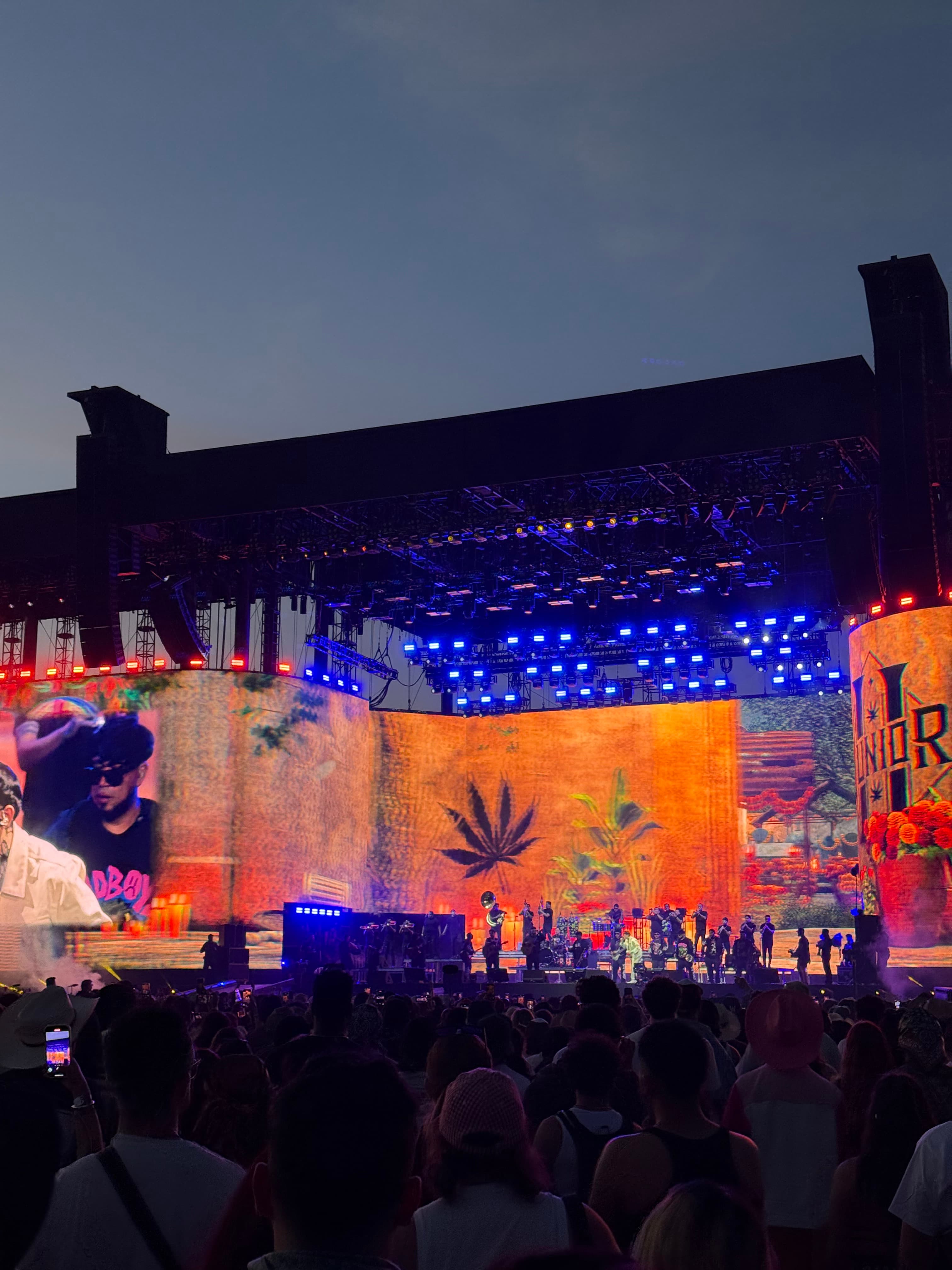 Coachella photo 10