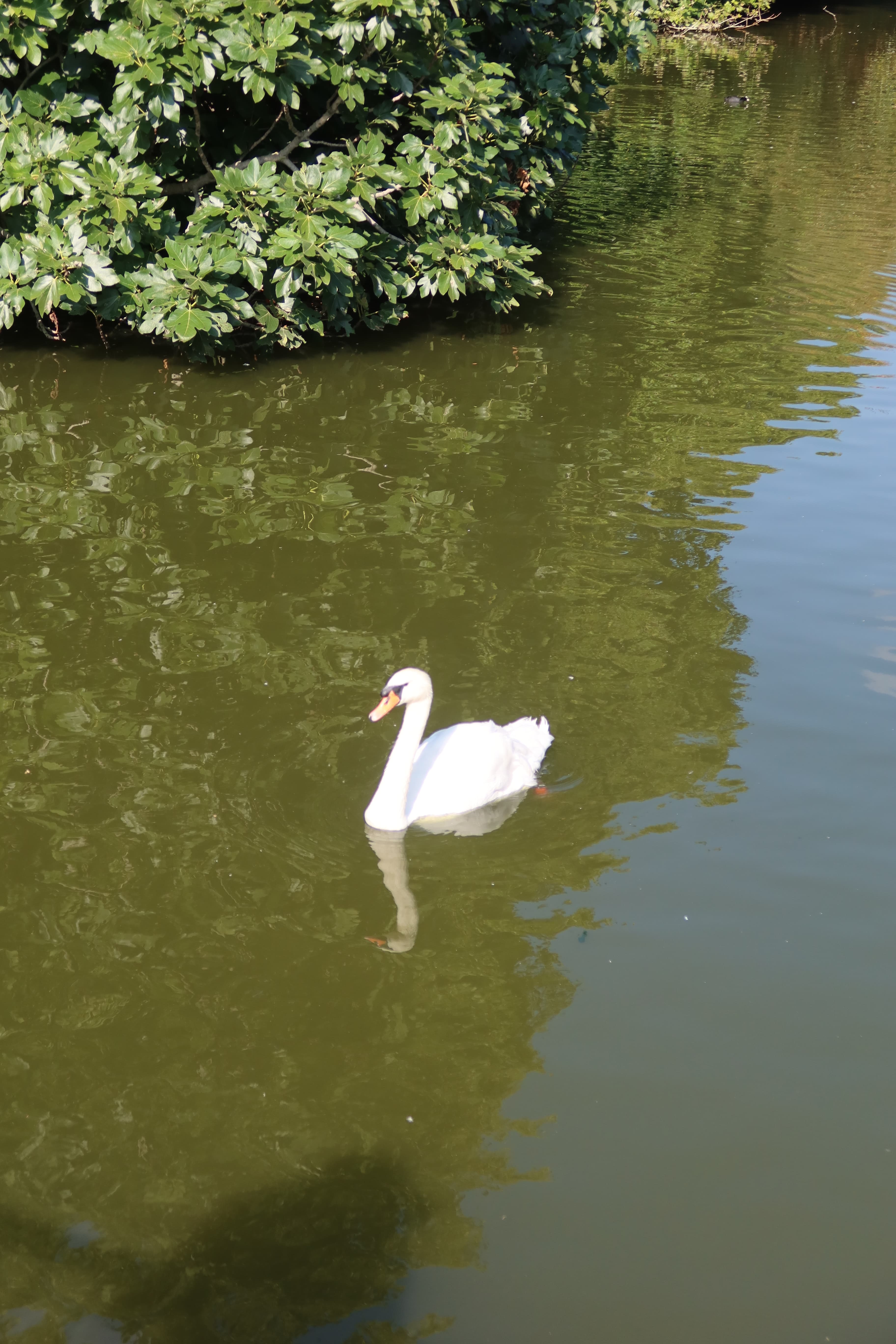 London photo 5