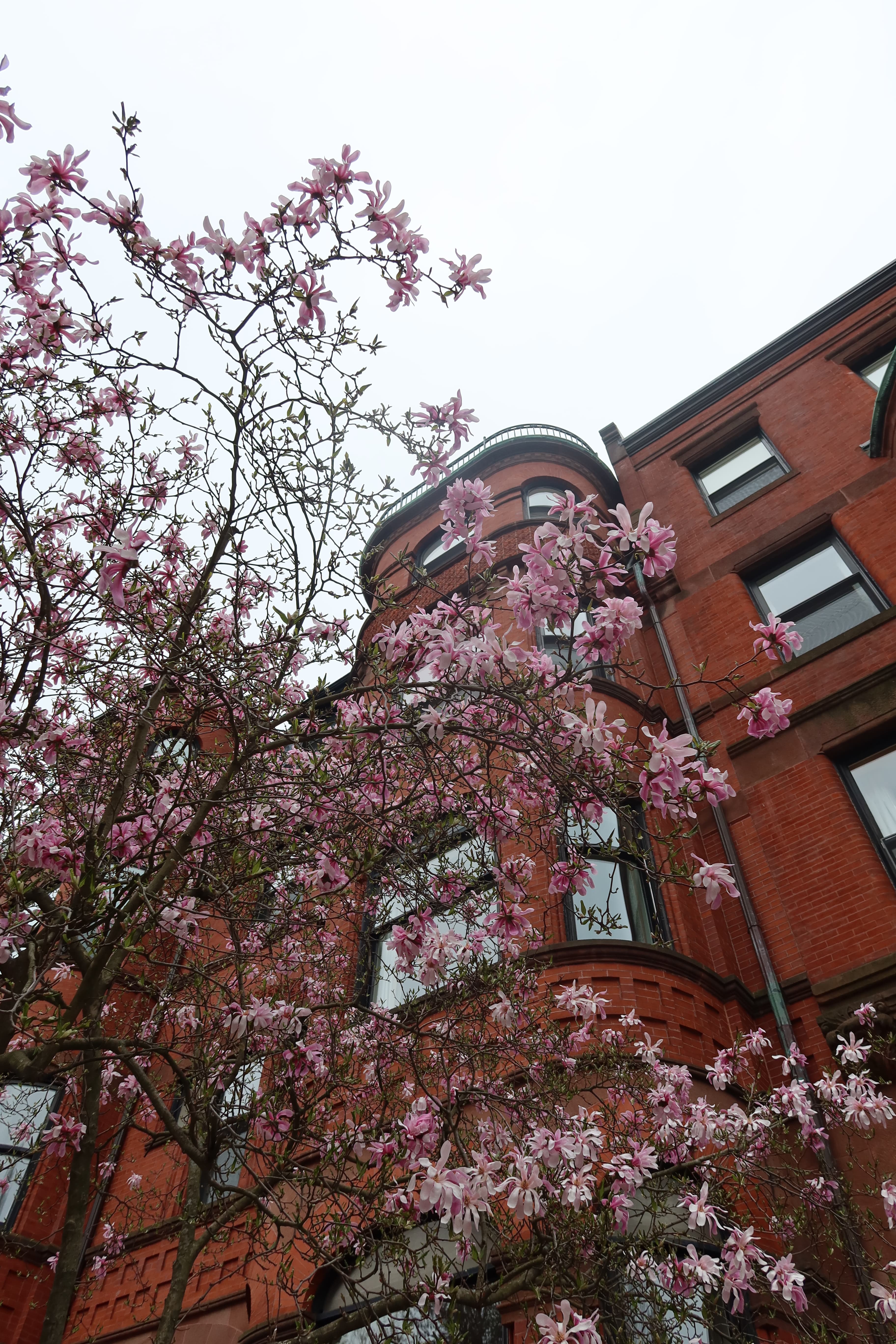 Boston photo 8