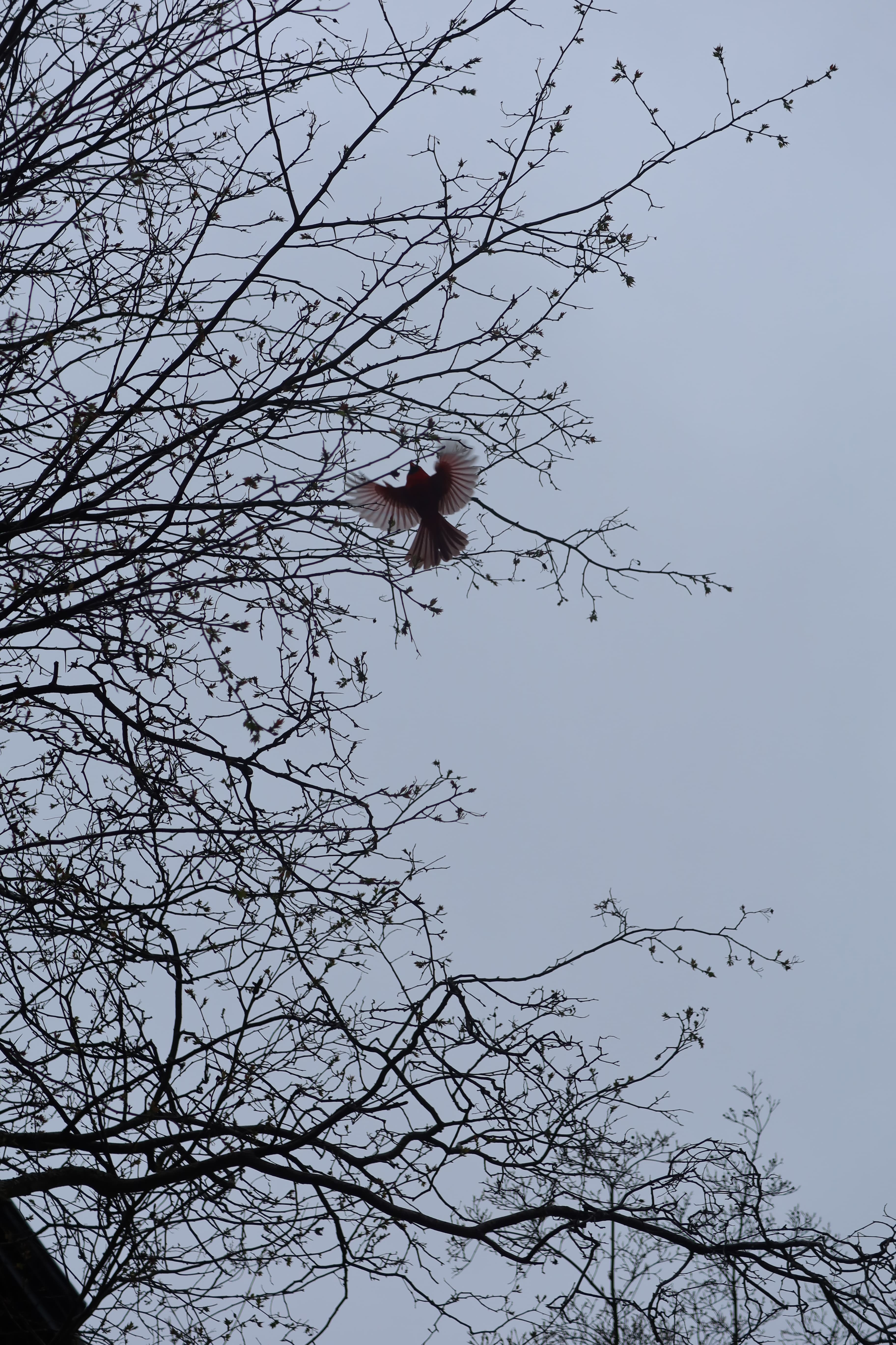 Boston photo 9