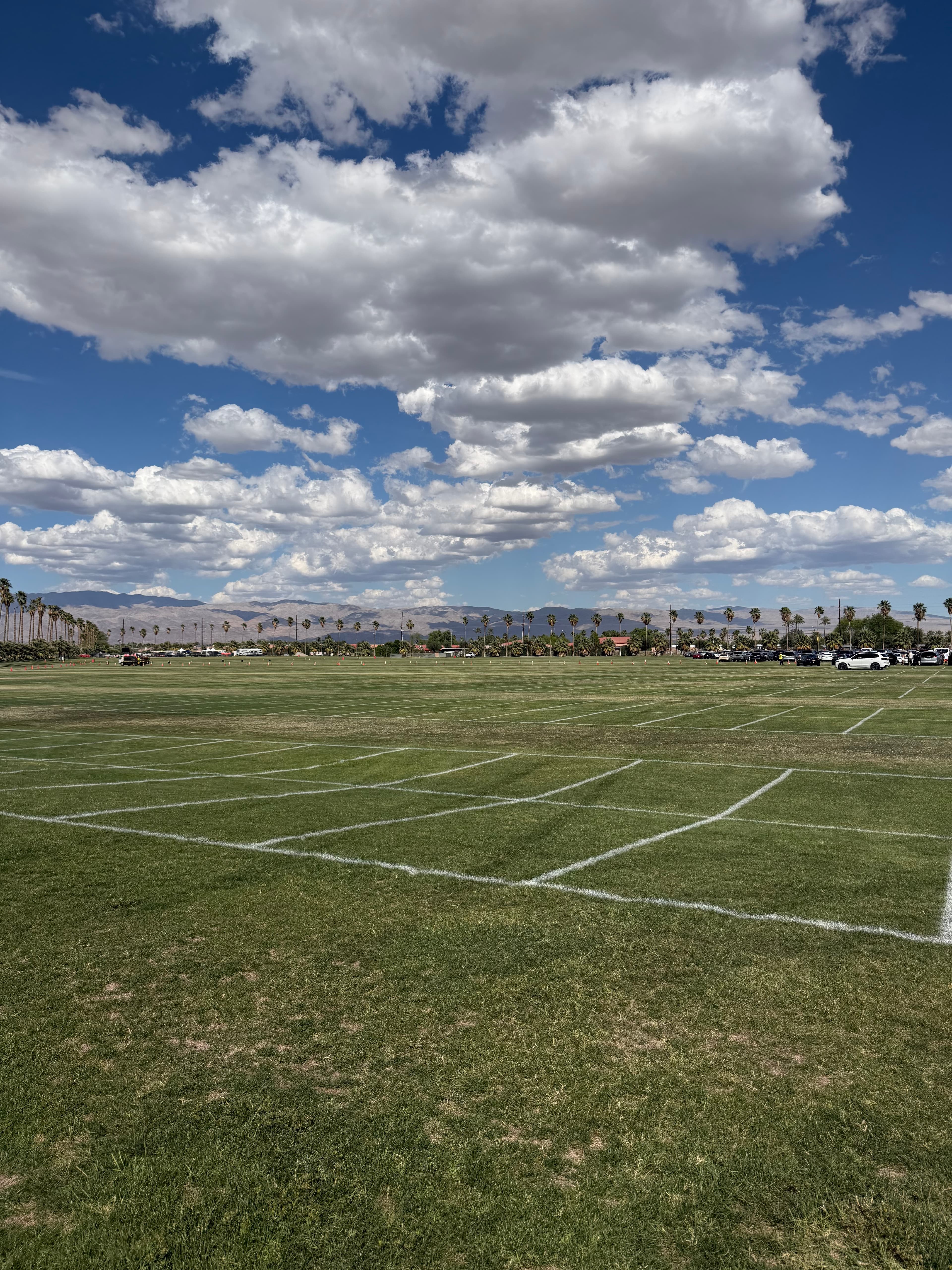 Coachella photo 2