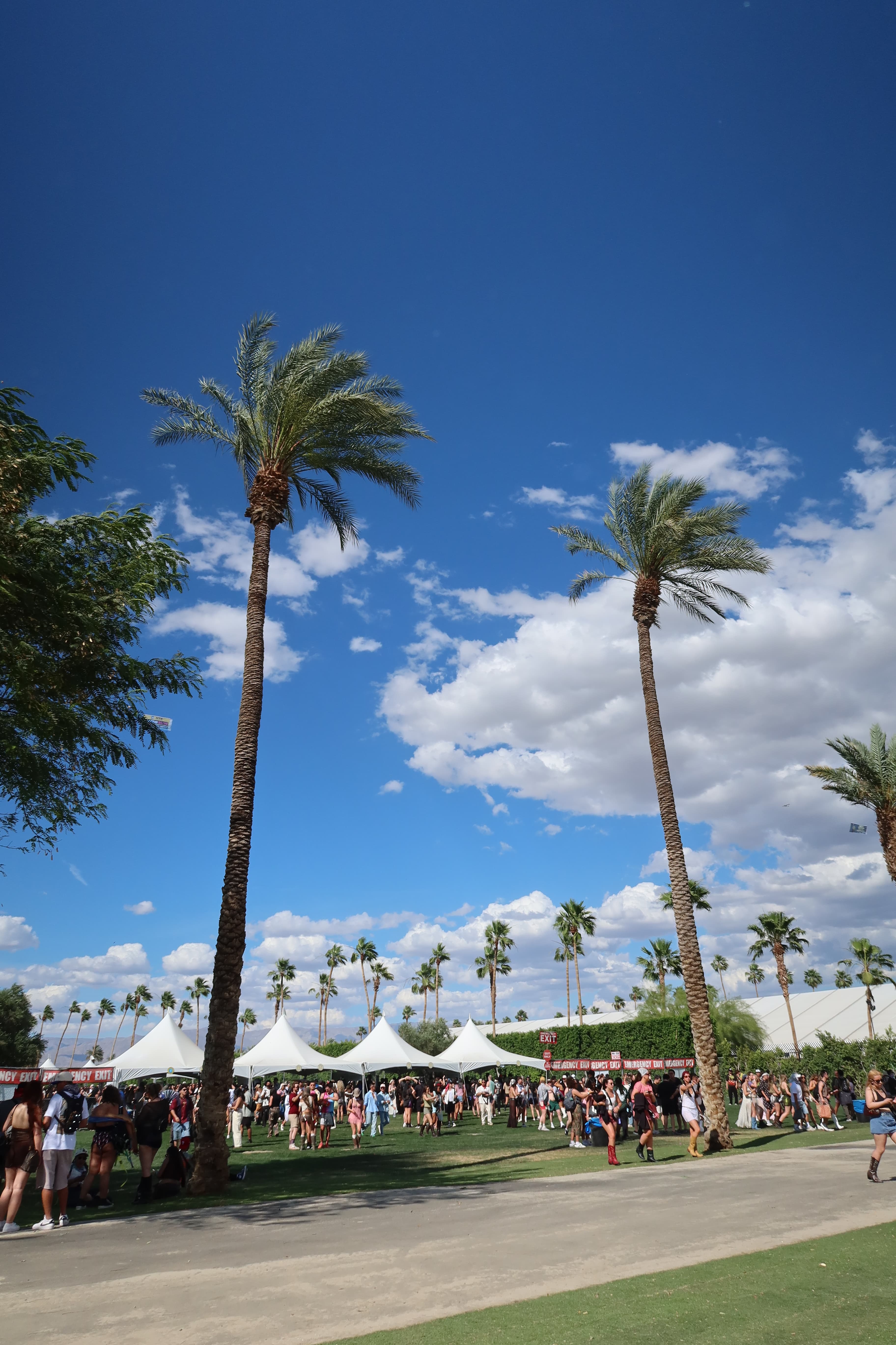 Coachella photo 6