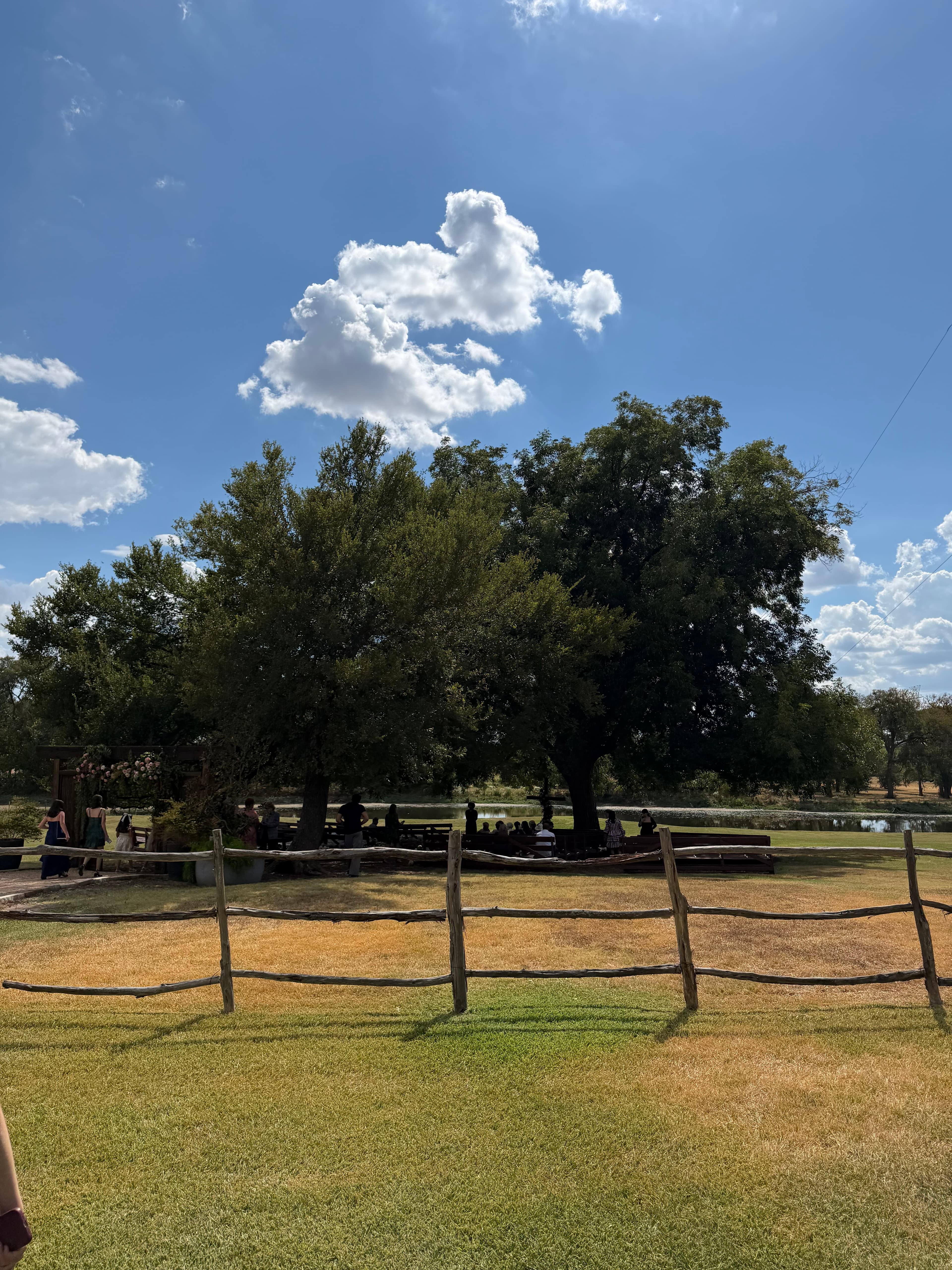 Dallas photo 6