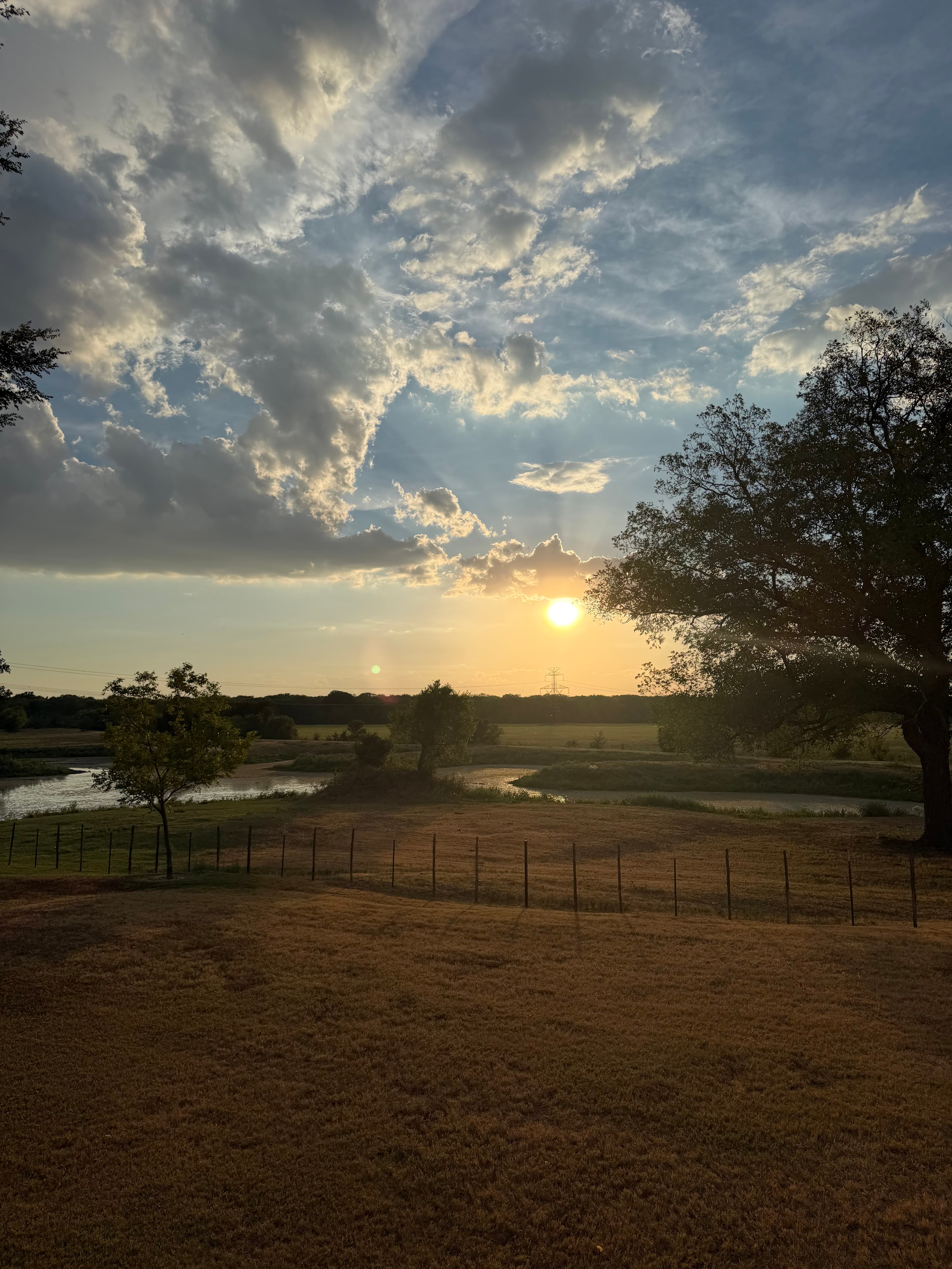Dallas photo 8