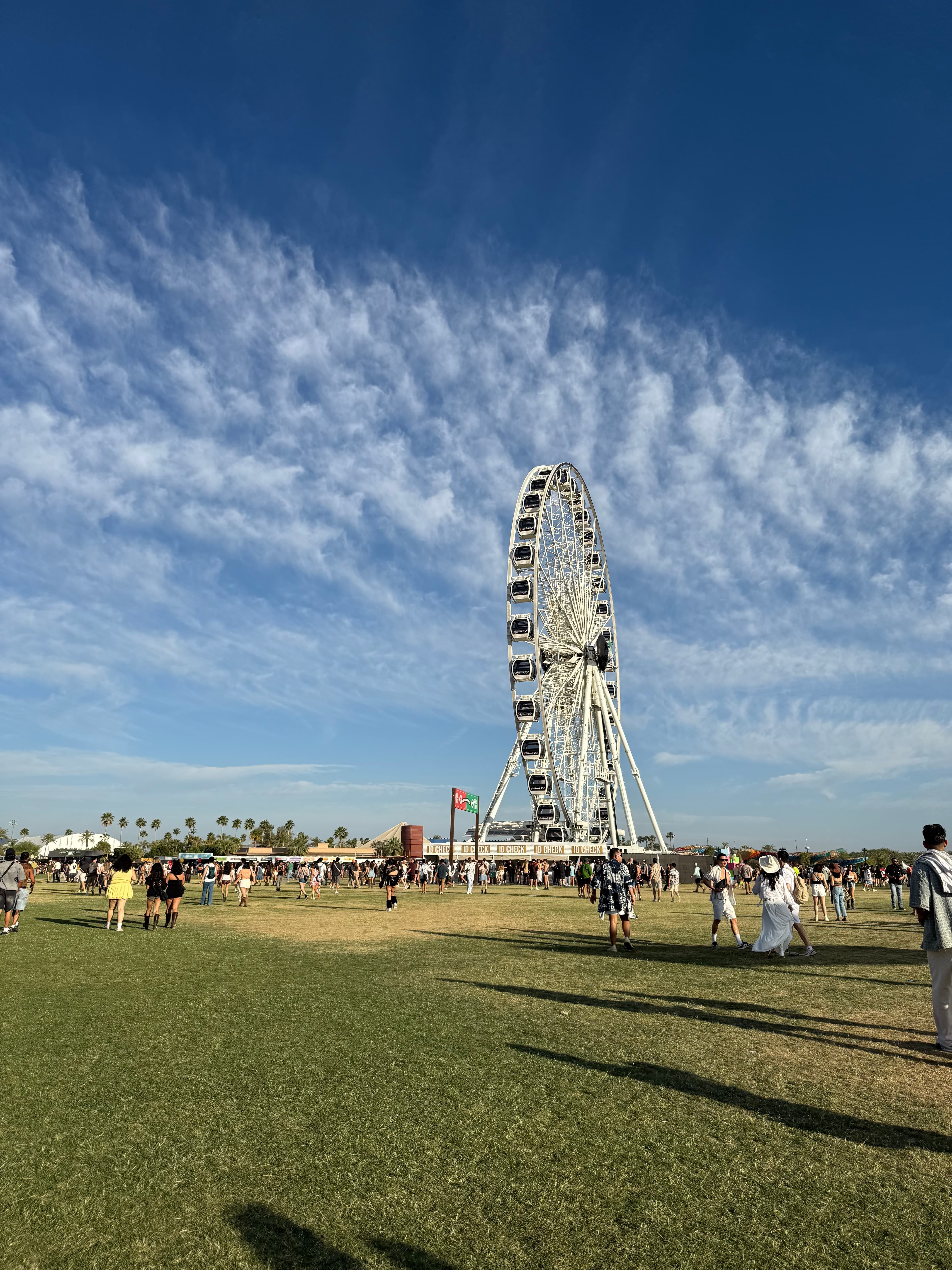 Coachella cover